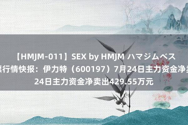 【HMJM-011】SEX by HMJM ハマジムベスト09 6時間 股票行情快报：伊力特（600197）7月24日主力资金净卖出429.55万元