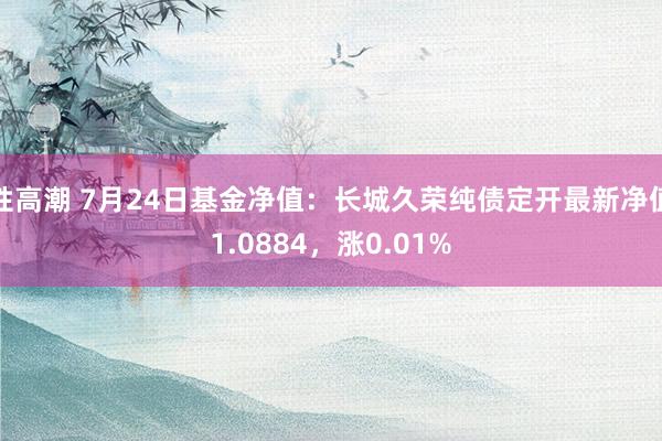 性高潮 7月24日基金净值：长城久荣纯债定开最新净值1.0884，涨0.01%