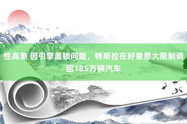 性高潮 因引擎盖锁问题，特斯拉在好意思大限制调回185万辆汽车