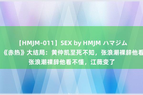 【HMJM-011】SEX by HMJM ハマジムベスト09 6時間 《赤热》大结局：黄仲凯至死不知，张浪潮裸辞他看不懂，江薇变了