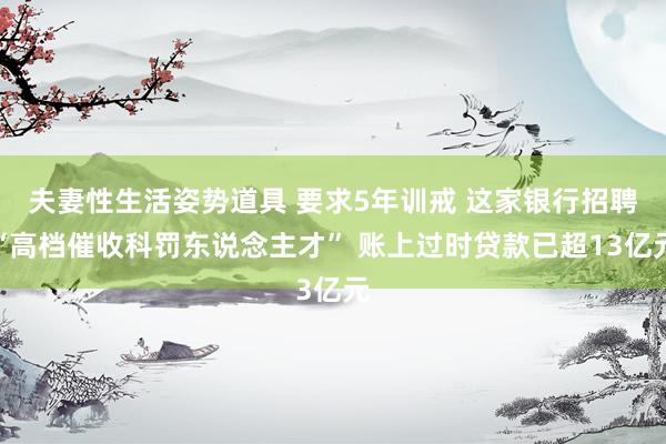 夫妻性生活姿势道具 要求5年训戒 这家银行招聘“高档催收科罚东说念主才” 账上过时贷款已超13亿元