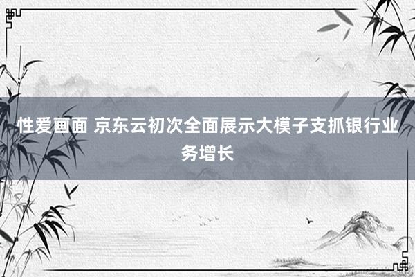 性爱画面 京东云初次全面展示大模子支抓银行业务增长