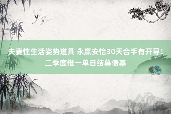 夫妻性生活姿势道具 永赢安怡30天合手有开导！二季度惟一单日结募债基