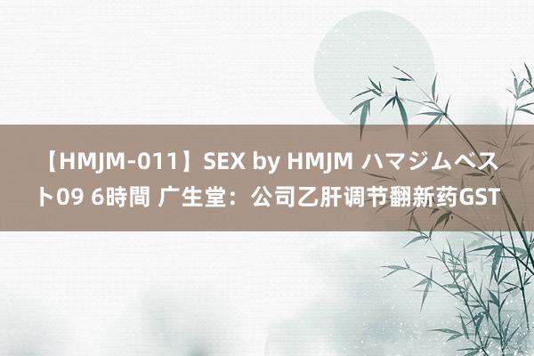 【HMJM-011】SEX by HMJM ハマジムベスト09 6時間 广生堂：公司乙肝调节翻新药GST