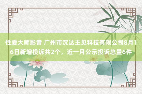 性爱大师影音 广州市沉达主见科技有限公司8月16日新增投诉共2个，近一月公示投诉总量6件