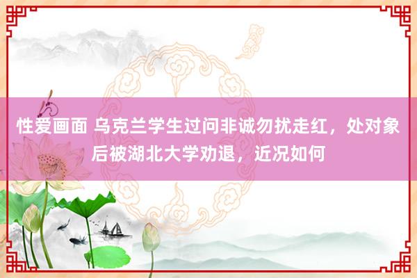 性爱画面 乌克兰学生过问非诚勿扰走红，处对象后被湖北大学劝退，近况如何