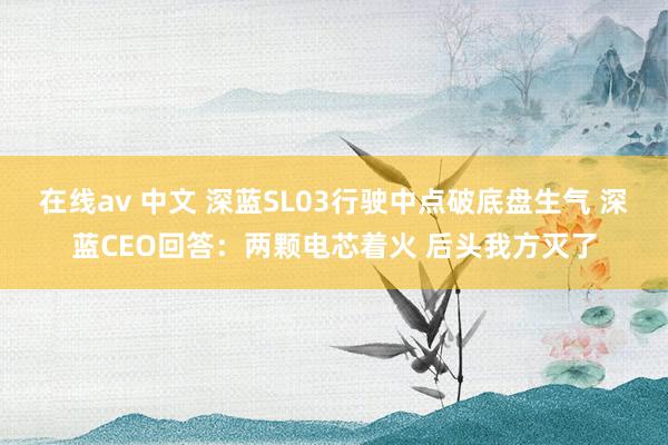 在线av 中文 深蓝SL03行驶中点破底盘生气 深蓝CEO回答：两颗电芯着火 后头我方灭了