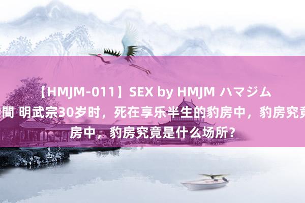 【HMJM-011】SEX by HMJM ハマジムベスト09 6時間 明武宗30岁时，死在享乐半生的豹房中，豹房究竟是什么场所？