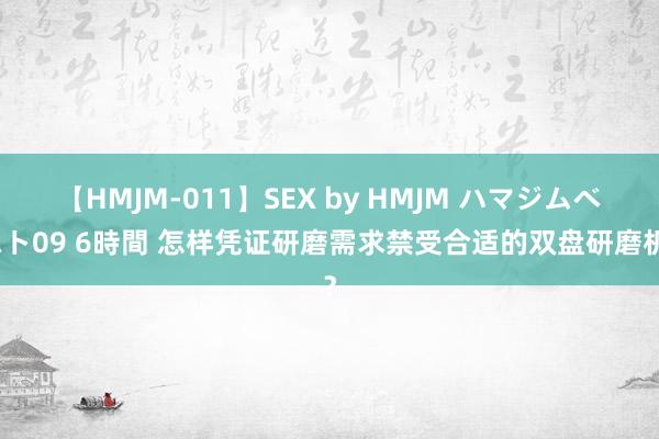 【HMJM-011】SEX by HMJM ハマジムベスト09 6時間 怎样凭证研磨需求禁受合适的双盘研磨机？