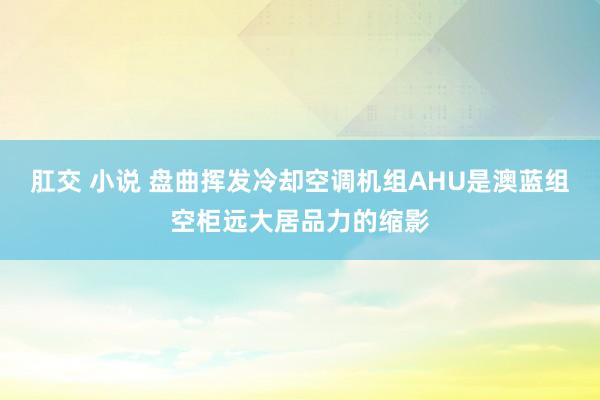 肛交 小说 盘曲挥发冷却空调机组AHU是澳蓝组空柜远大居品力的缩影