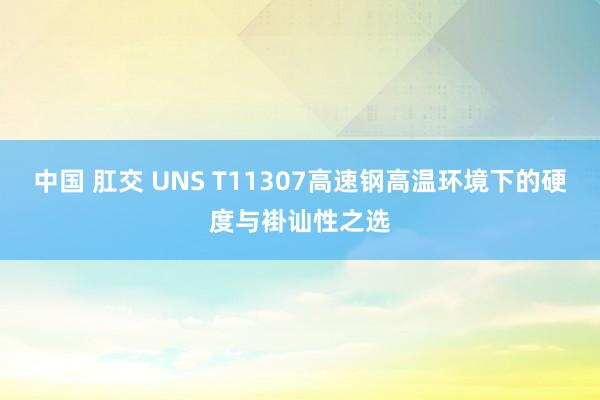 中国 肛交 UNS T11307高速钢高温环境下的硬度与褂讪性之选