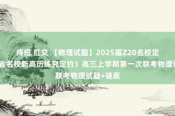 痔疮 肛交 【物理试题】2025届Z20名校定约（浙江省名校新高历练究定约）高三上学期第一次联考物理试题+谜底