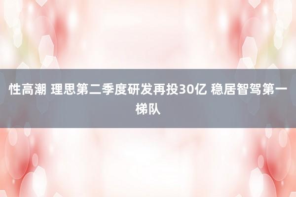 性高潮 理思第二季度研发再投30亿 稳居智驾第一梯队