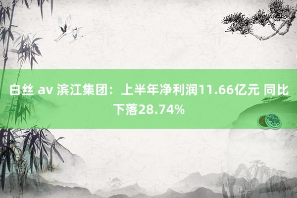 白丝 av 滨江集团：上半年净利润11.66亿元 同比下落28.74%