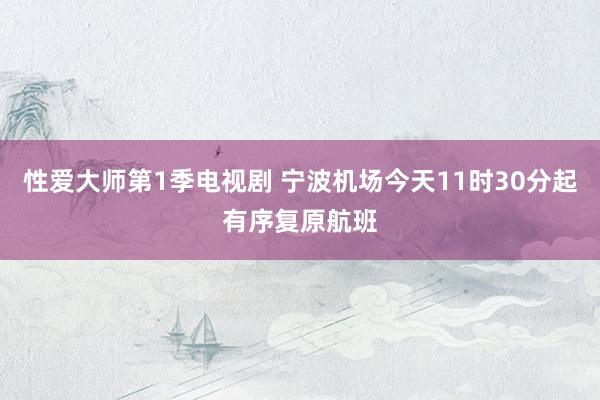 性爱大师第1季电视剧 宁波机场今天11时30分起有序复原航班