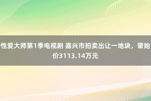 性爱大师第1季电视剧 嘉兴市拍卖出让一地块，肇始价3113.14万元